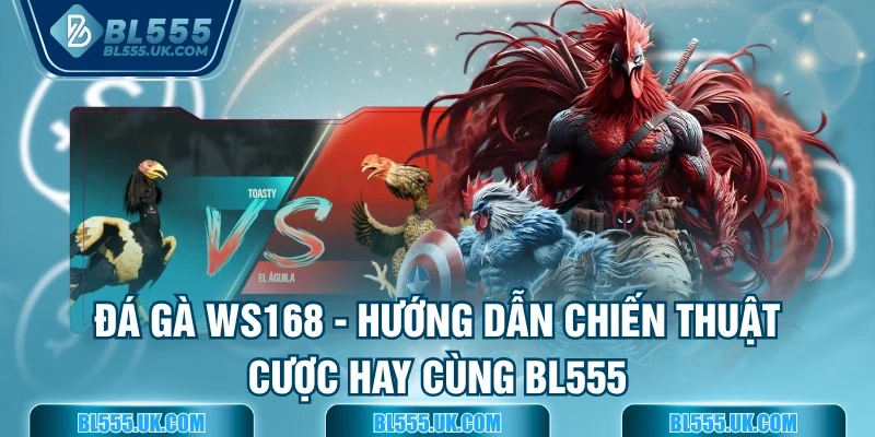 Đá gà WS168