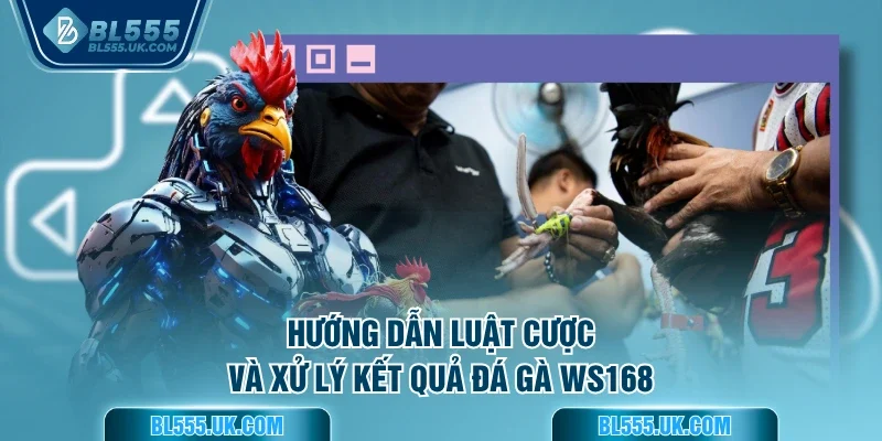 Hướng dẫn luật cược và xử lý kết quả Đá gà WS168