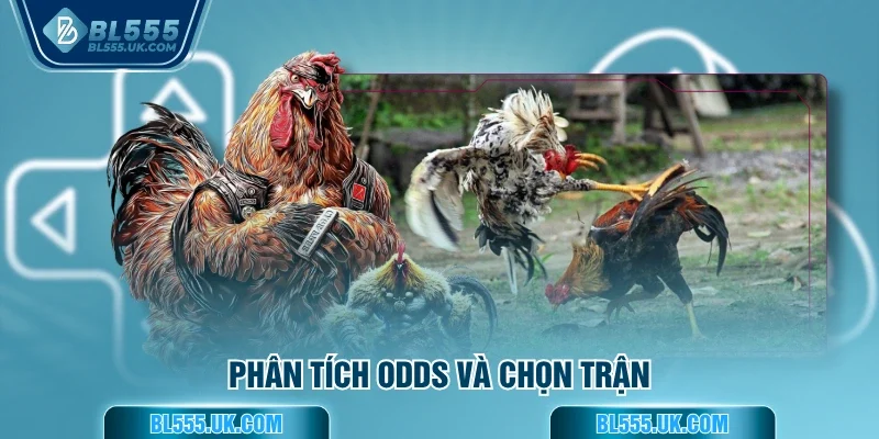 Phân tích odds và chọn trận 